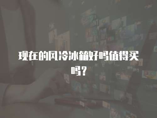 现在的风冷冰箱好吗值得买吗? 现在的风冷冰箱好吗值得买吗?