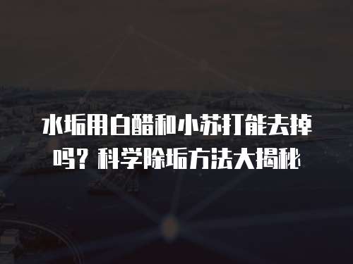 水垢用白醋和小苏打能去掉吗？科学除垢方法大揭秘