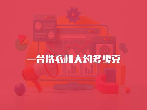 一台洗衣机大约多少克